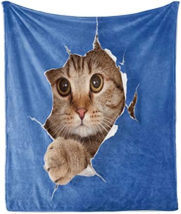 שמיכה לזרוק בעלי חיים, חתלתול בכפות חור נייר תמונת חיית מחמד חתול סקוטית שובבה, חתיכת מבטא פליס פלנל כיסוי ספה רך למבוגרים,
